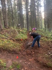 Trail Maintenance Event with Friends of Kananaskis in 2020